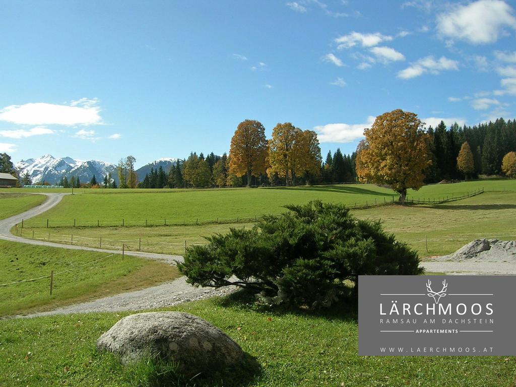 Appartements Lärchmoos Ramsau am Dachstein Buitenkant foto