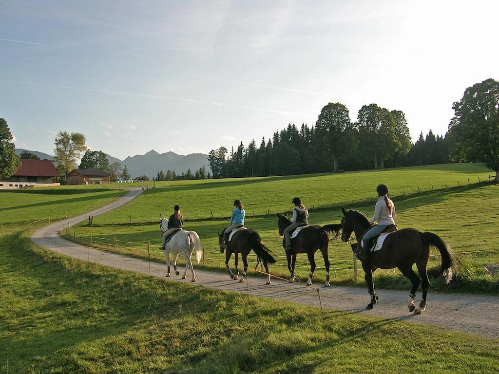 Appartements Lärchmoos Ramsau am Dachstein Buitenkant foto