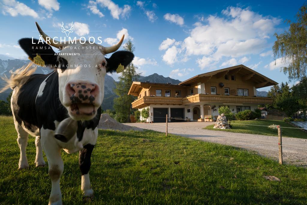 Appartements Lärchmoos Ramsau am Dachstein Buitenkant foto